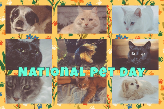 National Pet Day