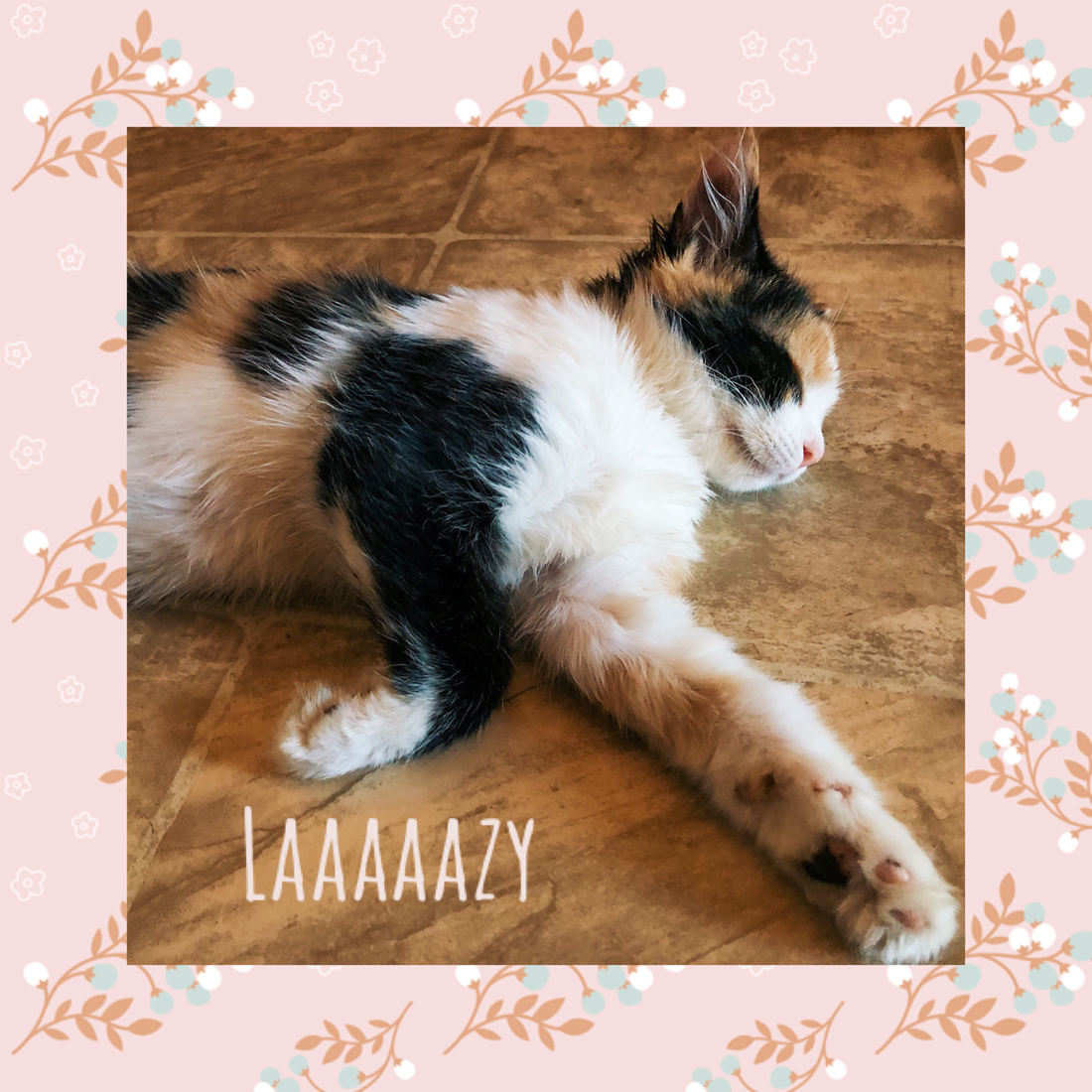 Laaaaaazy Day