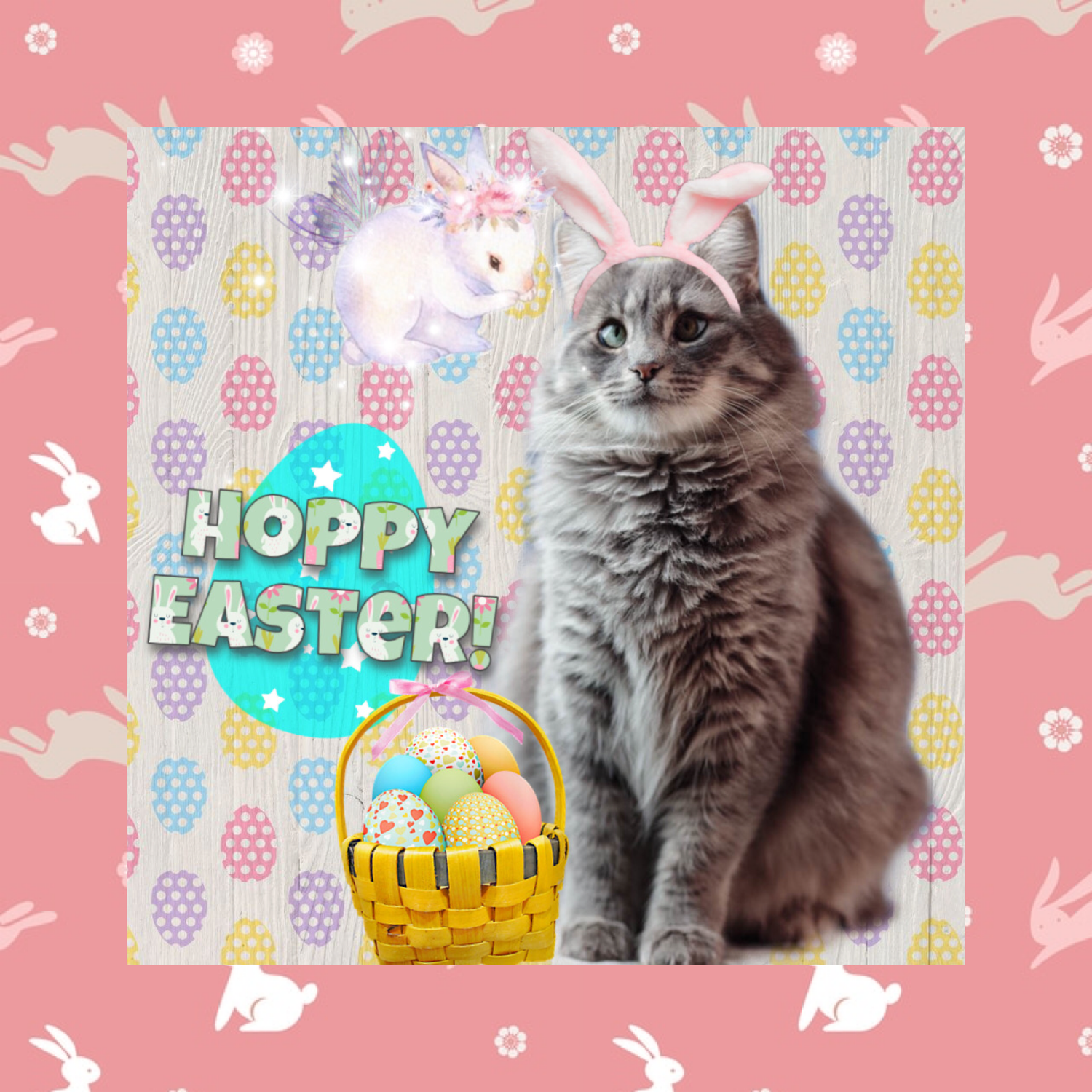 Easter Toopy Hoppy Easter! – Official Cat Lady