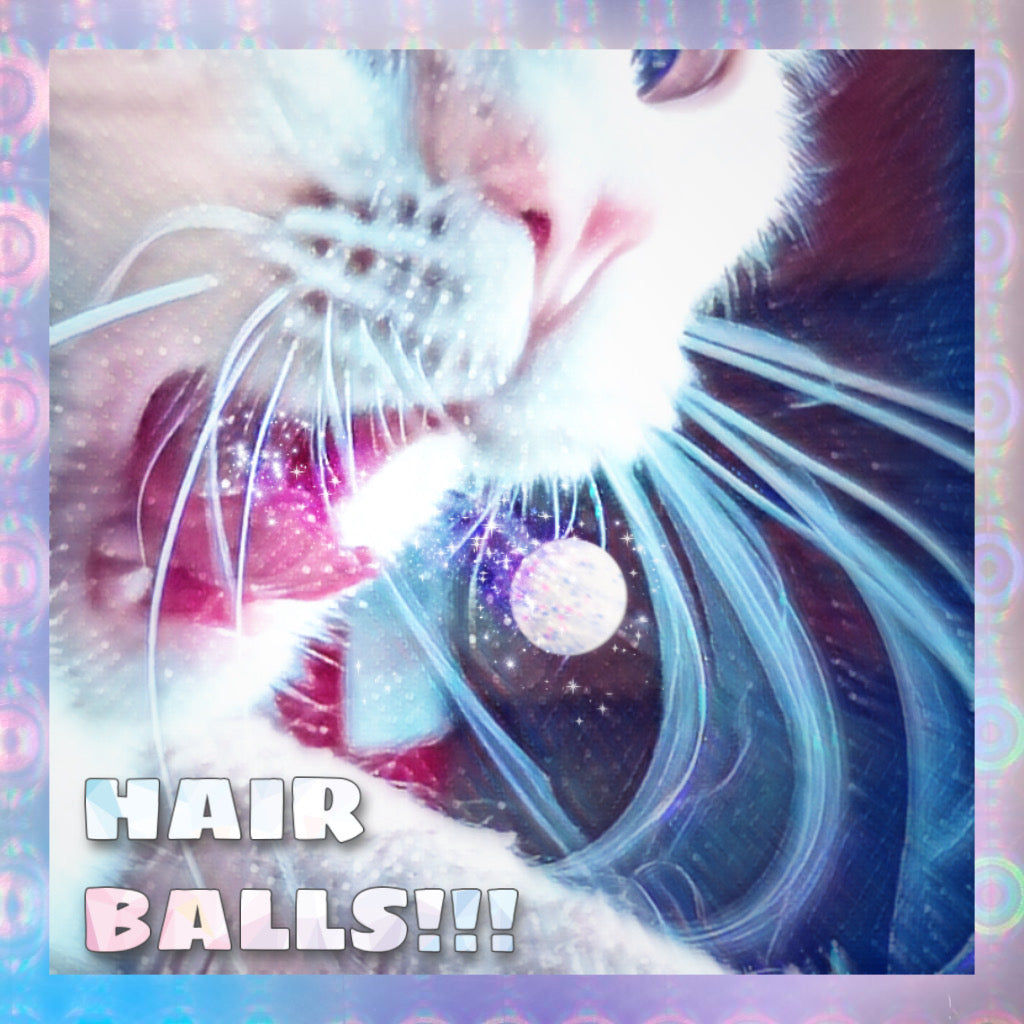 Hairball Awareness Day!