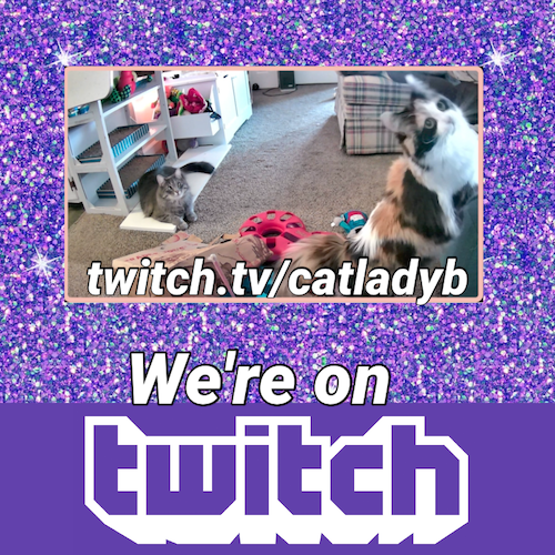 We're on Twitch!