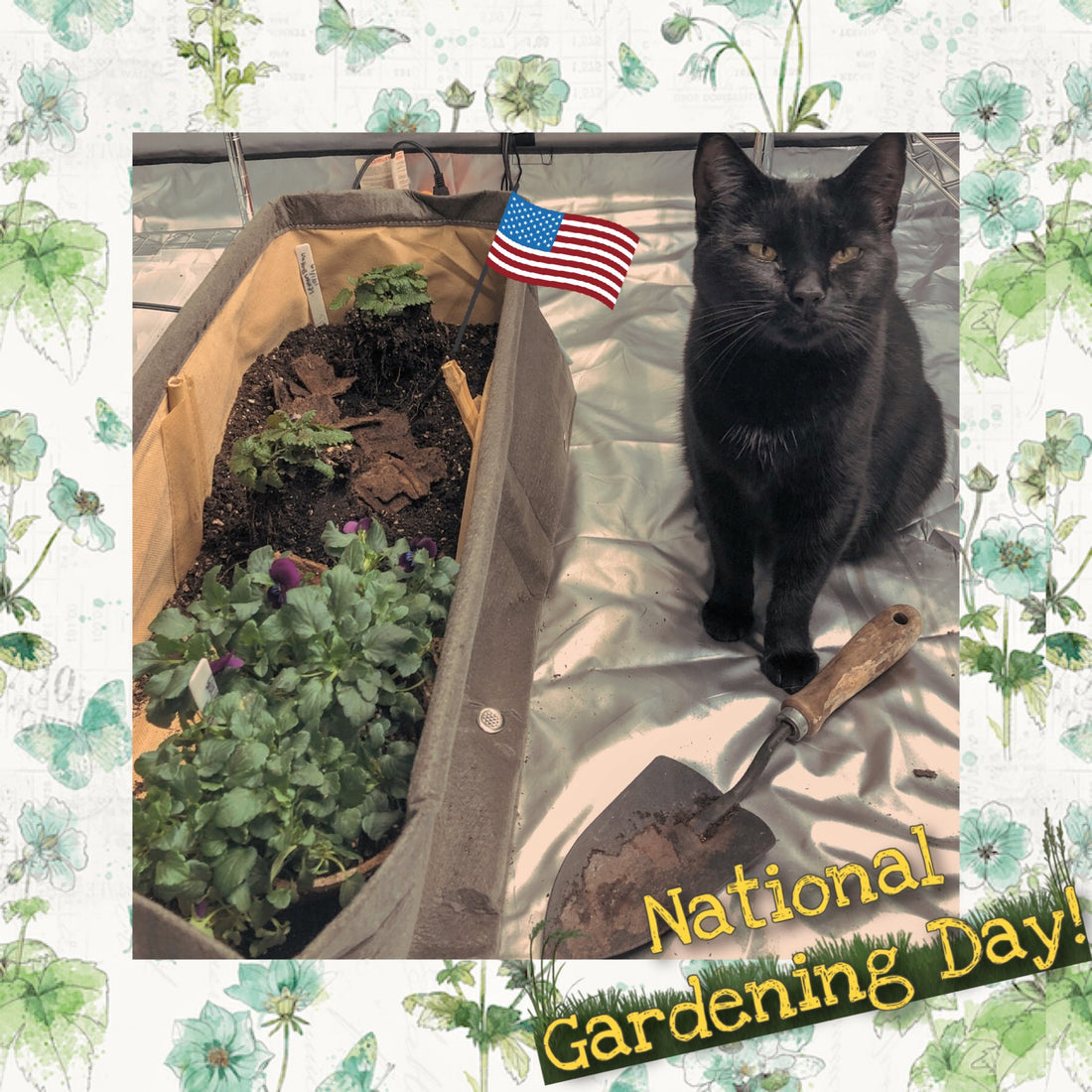 National Gardening Day!