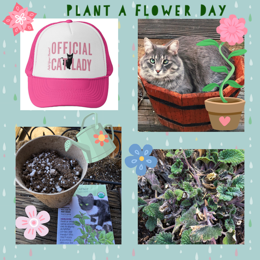 National Plant a Flower Day