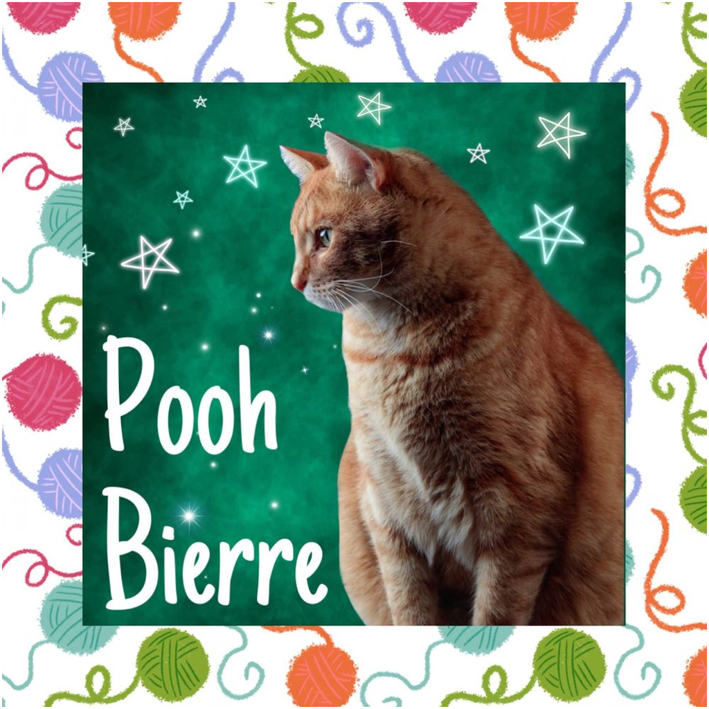 Kitty Collage