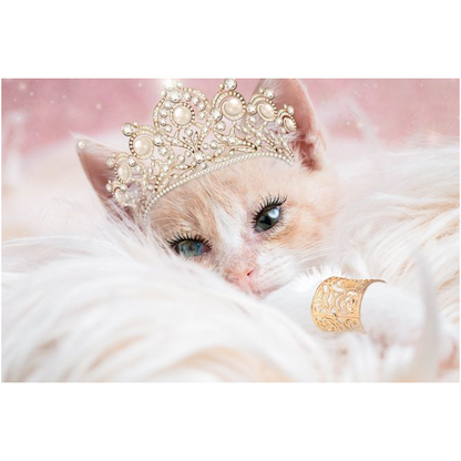 Glamour Kitten Lustre Print