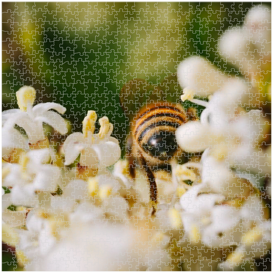 Bee in White Flowers Premium 20"x20"Puzzle