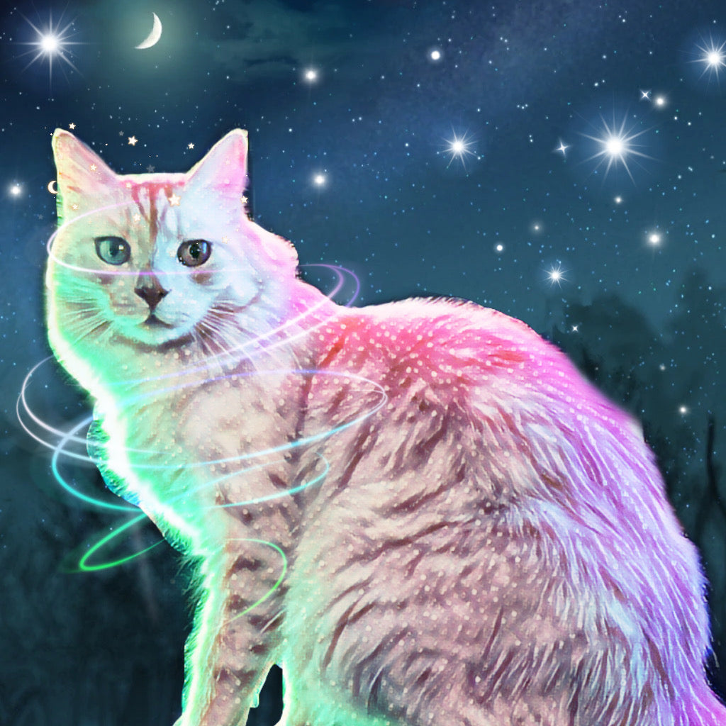 Cat Art