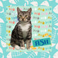Cat Collage