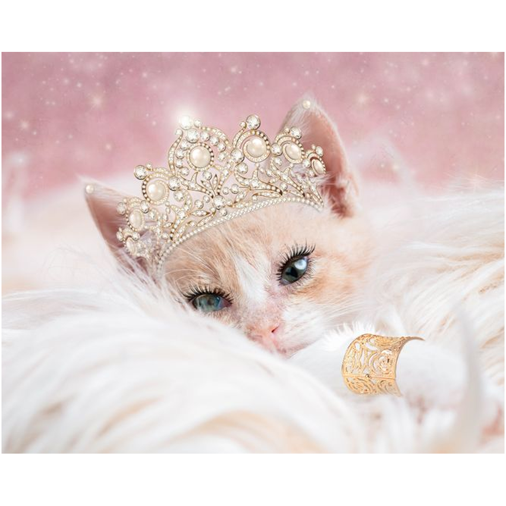 Glamour Kitten Lustre Print