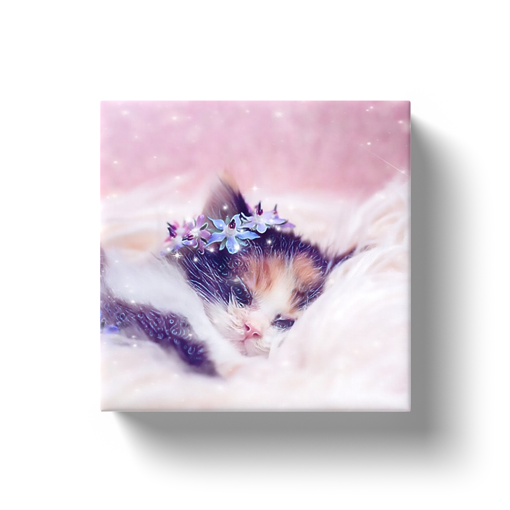 Store – Official Cat Lady
